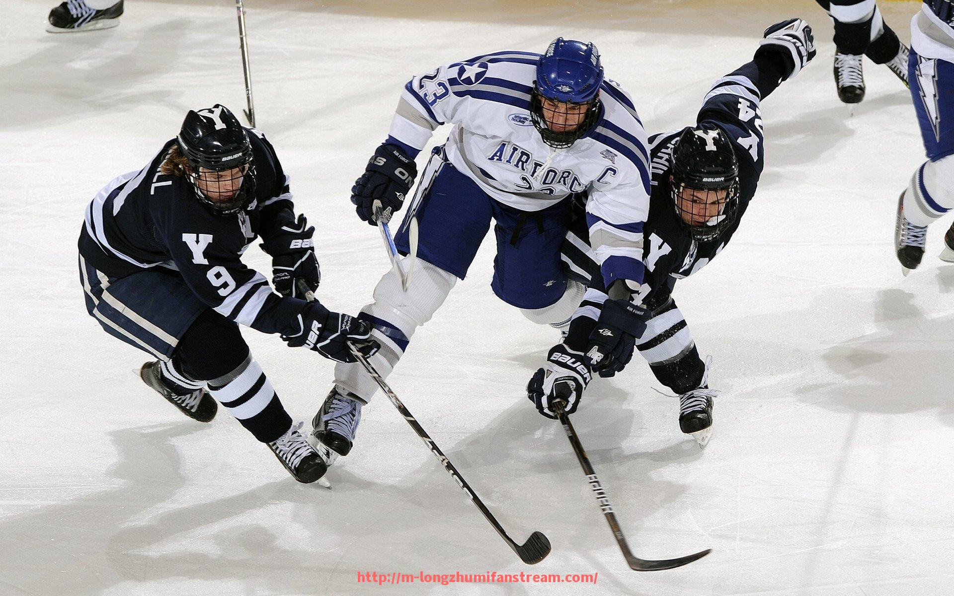 龙珠直播-世俱杯赞助资金风险评估方法详解：事前预测与事后审计